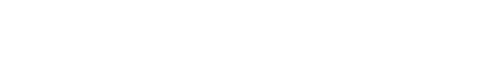 Artieri 1895